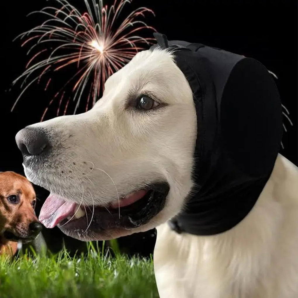 Hund Ørevarmere til Lydreduktion