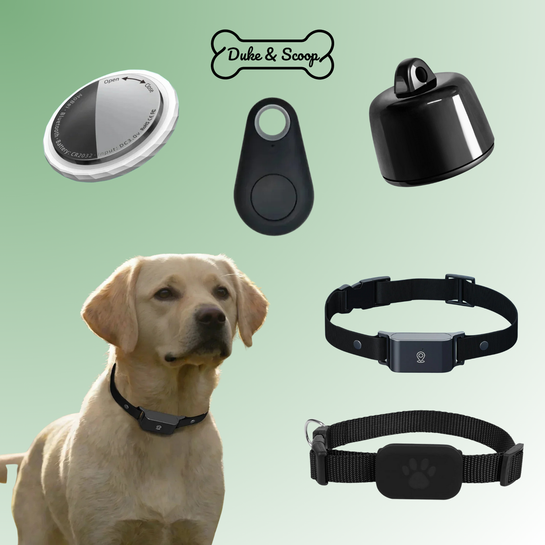 SmartPet Tracker Mini GPS Husdyresøger