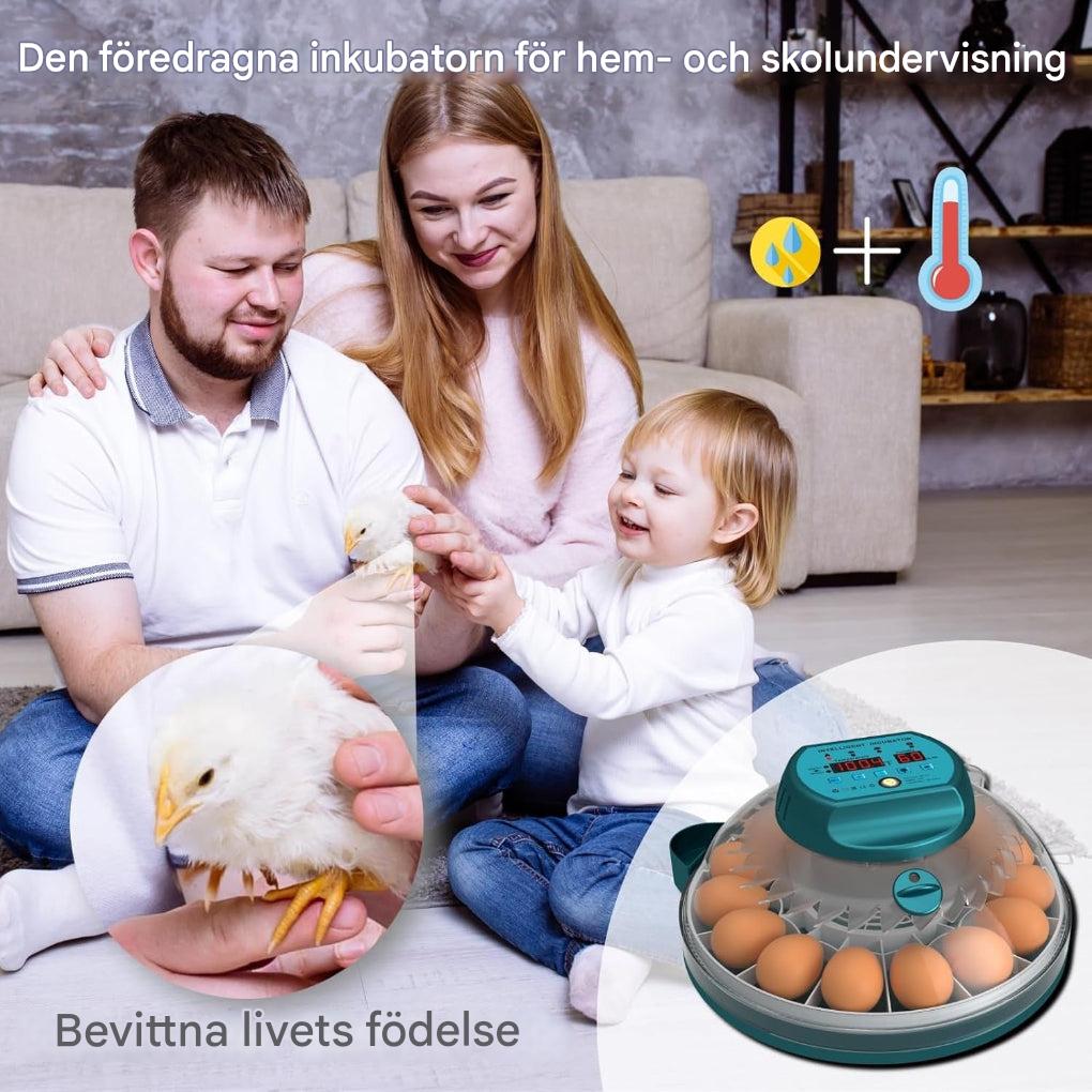 15 egginkubator med automatisk fuktighetskontroll