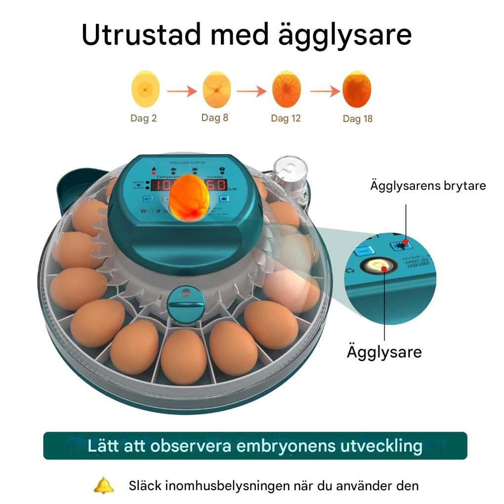15 egginkubator med automatisk fuktighetskontroll