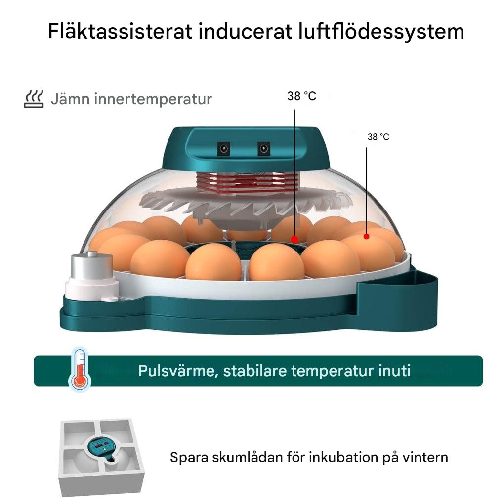 15 egginkubator med automatisk fuktighetskontroll