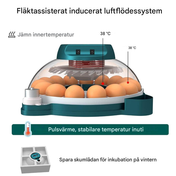 15 egginkubator med automatisk fuktighetskontroll