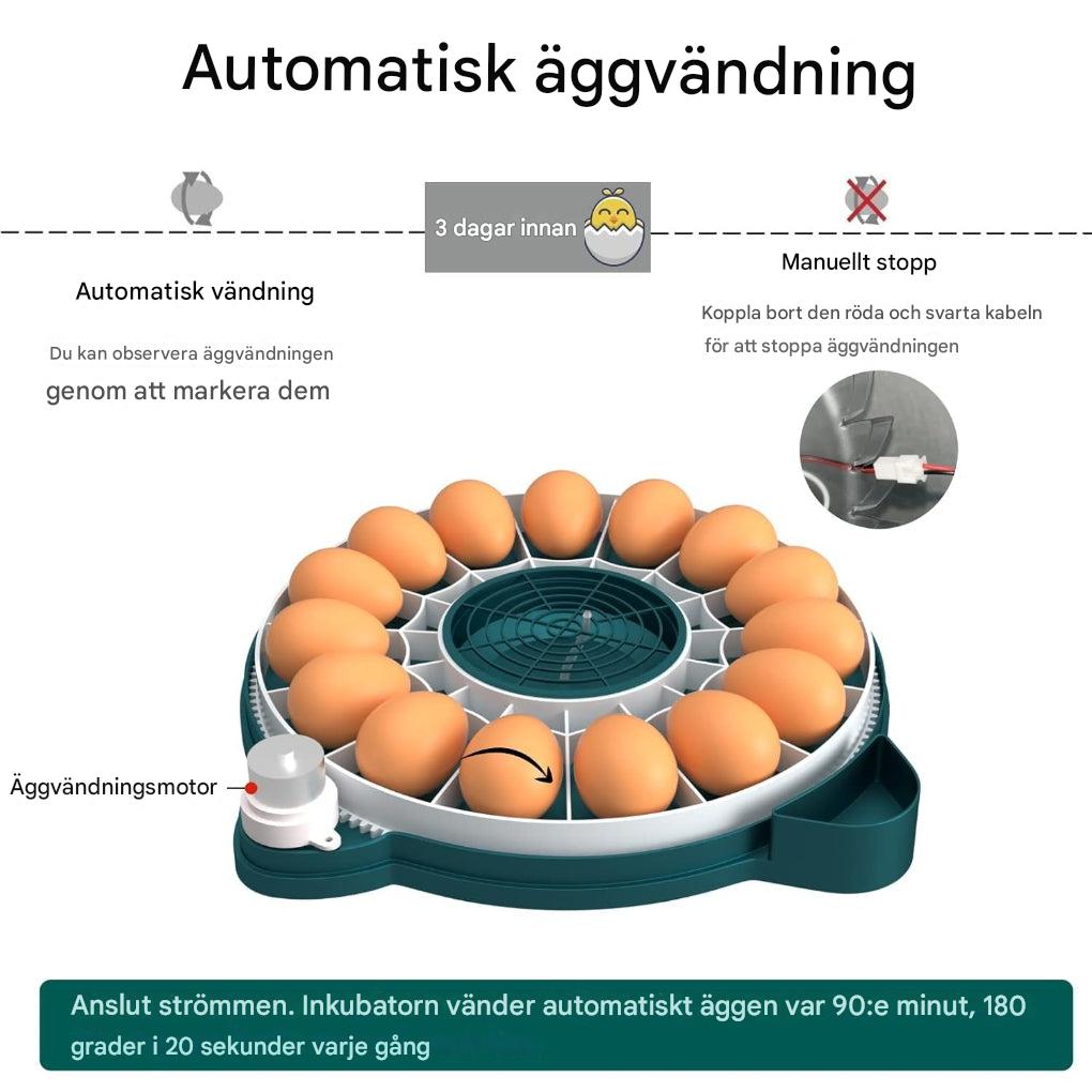 15 egginkubator med automatisk fuktighetskontroll