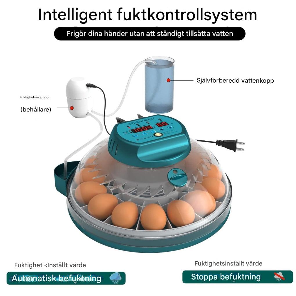 15 egginkubator med automatisk fuktighetskontroll