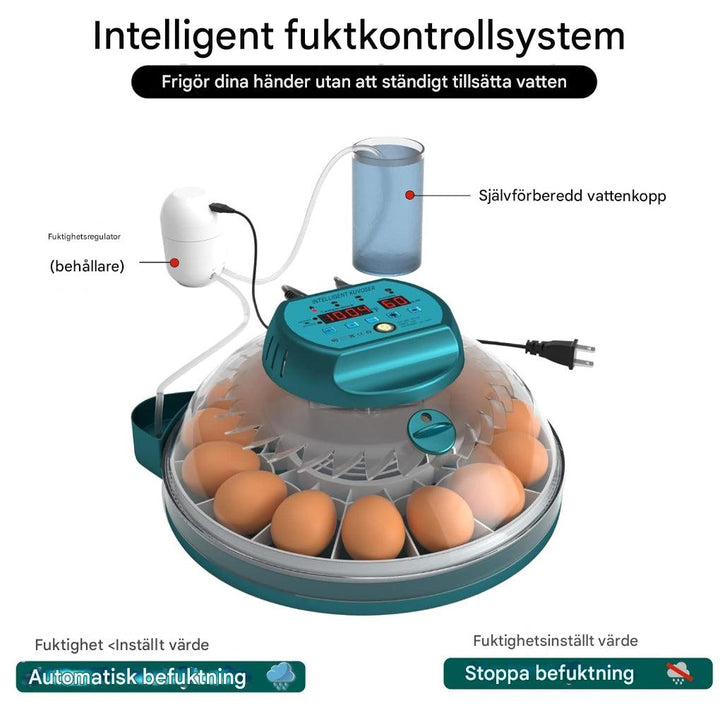 15 egginkubator med automatisk fuktighetskontroll