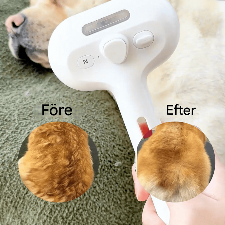 BrushPaw Ångborste för Hundar