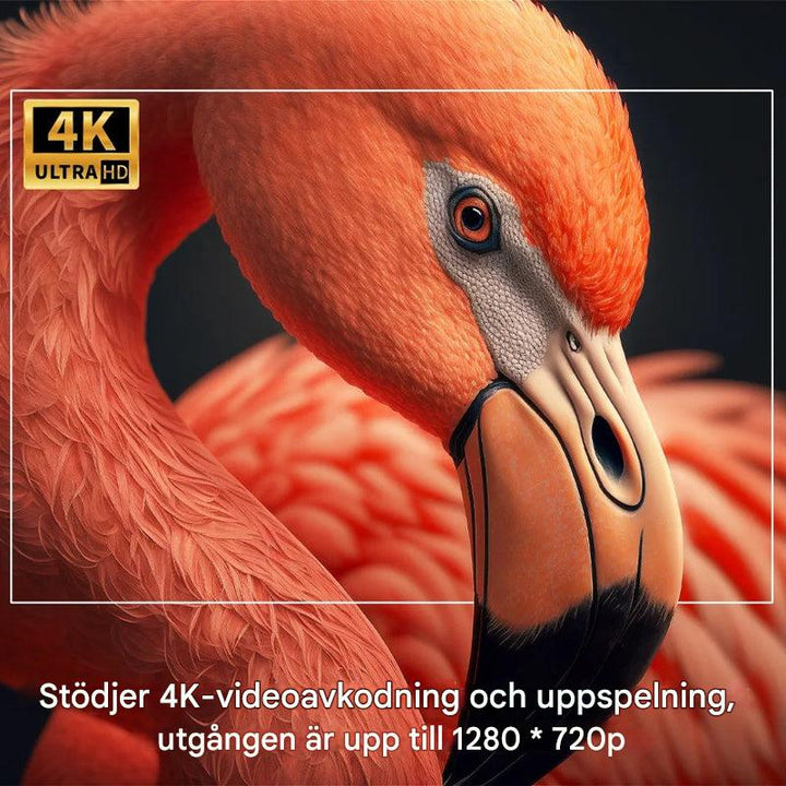 Kannettava ulkokäyttöön tarkoitettu projektori