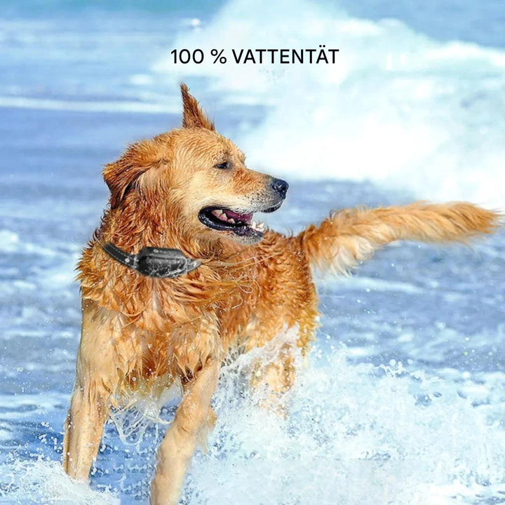 Sähköinen koirankoulutuskaulapanta kaukosäätimellä