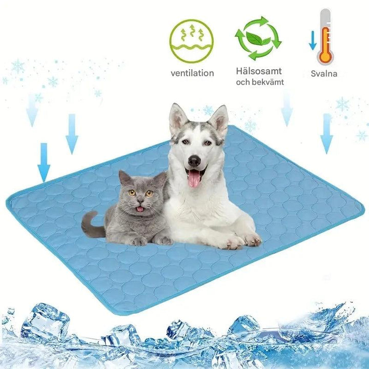 Kølemåtte til hunde og katte